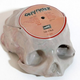 Illustration for article titled Melting Vinyl Records into Skulls Is Hauntingly Beautiful